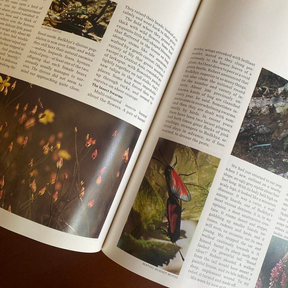 Vintage The World’s Wild Places/Time-Life Books: Soviet Deserts and Mountains